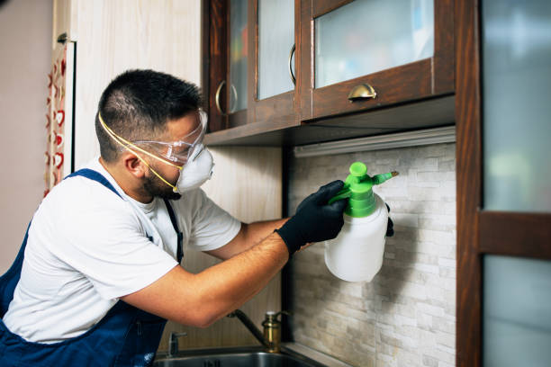  Laurel, MD Pest Control Pros