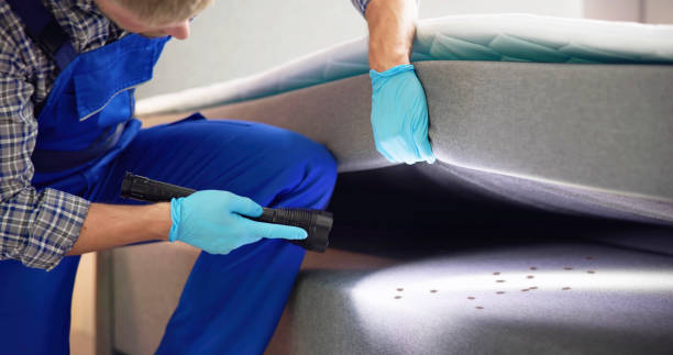 Trusted Laurel, MD Pest Control Experts