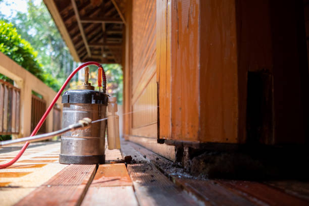 Best Pest Prevention Services  in Laurel, MD
