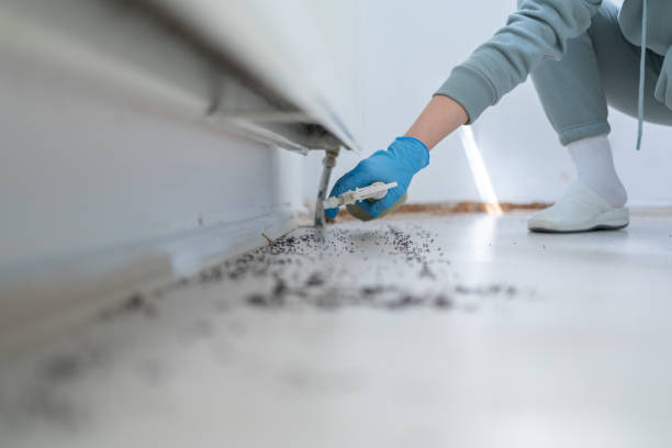 Pest Control for Restaurants in Laurel, MD